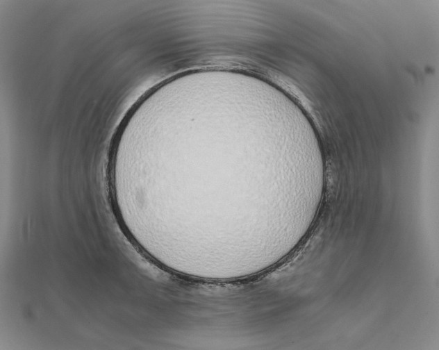 X0000111491091200908111218