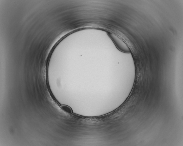 X0000111491092200908111218