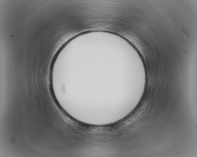 X0000111491093200908111218