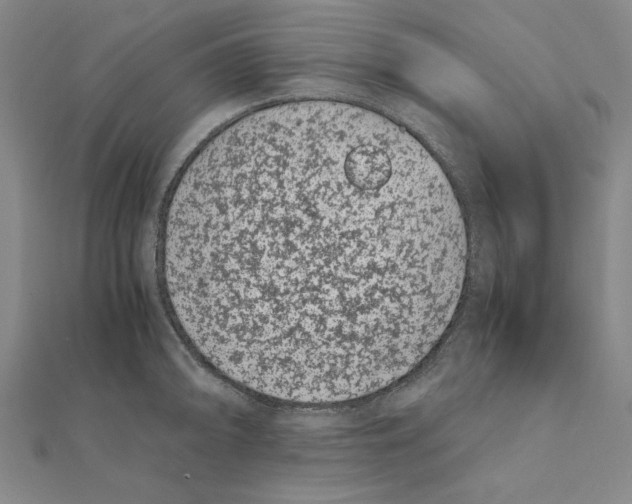 X0000111491094200908111218