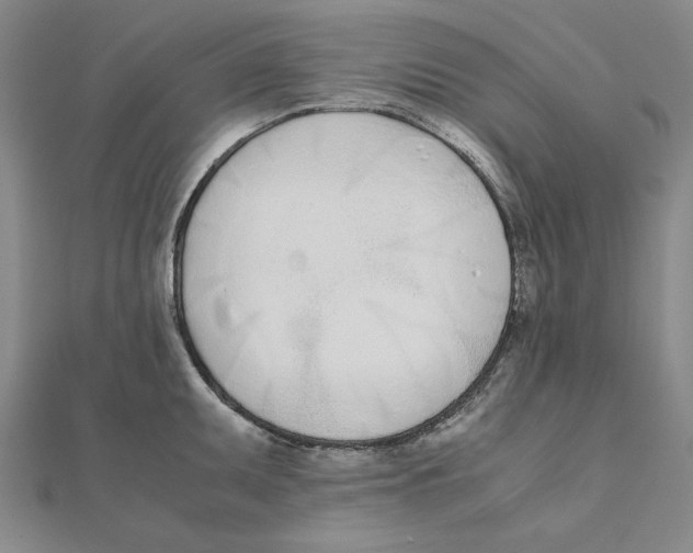 X0000111491095200908111218