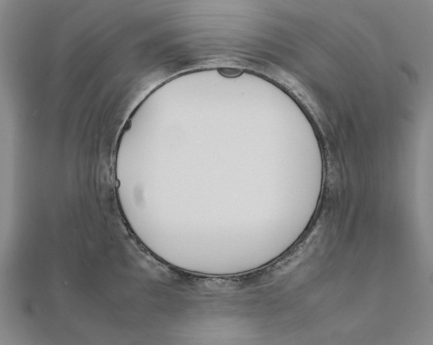 X0000111491097200908111218
