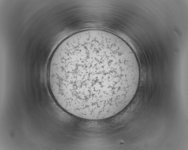 X0000111491098200908111218
