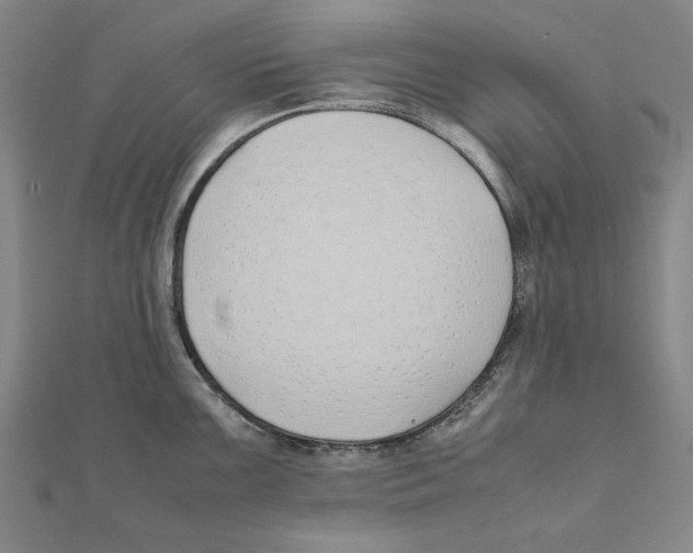 X0000111491099200908111218
