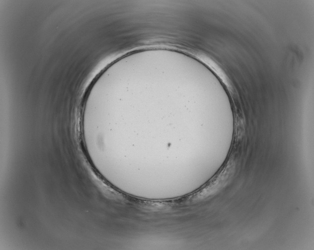 X0000111491101200908111218