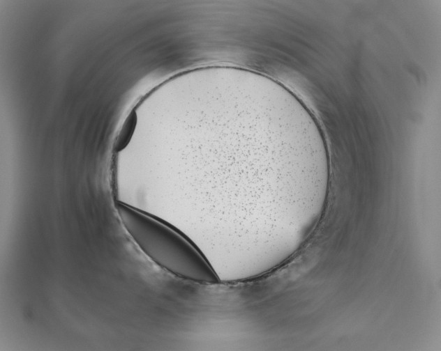 X0000111491104200908111218
