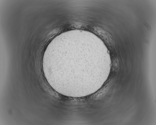X0000111491105200908111217