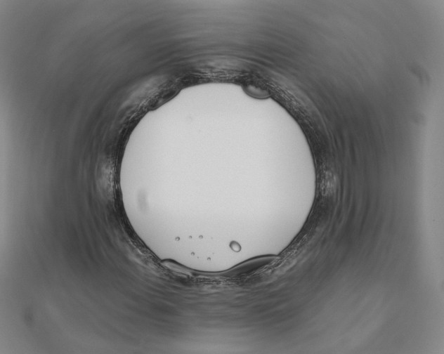 X0000111491108200908111217
