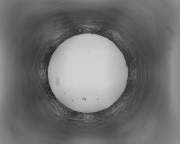 X0000111491109200908111217