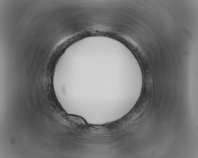 X0000111491112200908111218
