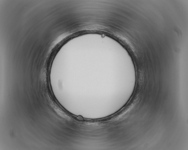 X0000111491114200908111218