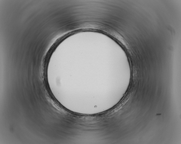 X0000111491116200908111218
