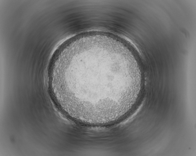 X0000111491117200908111218