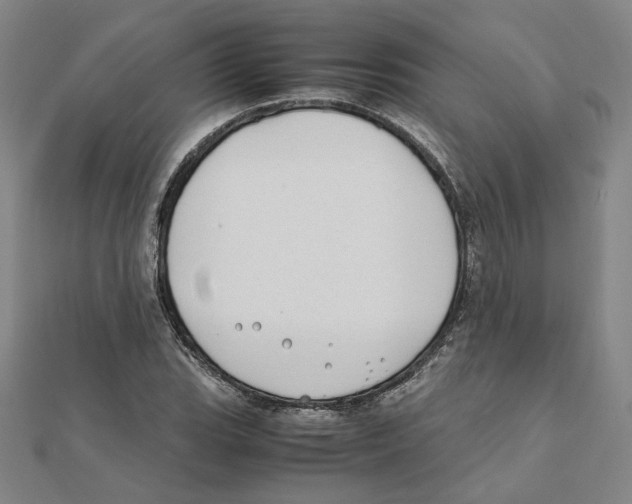 X0000111491119200908111218