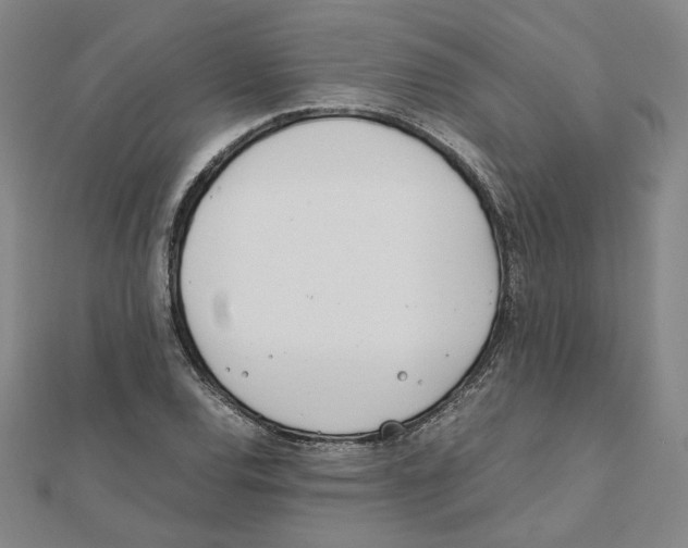 X0000111491120200908111218