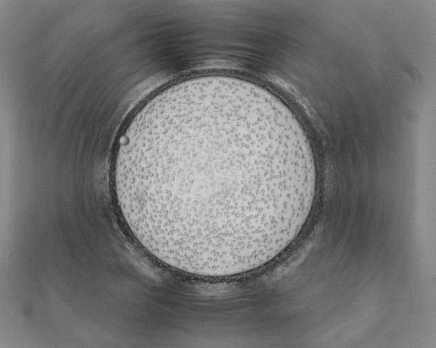 X0000111491121200908111218