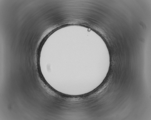 X0000111491122200908111218