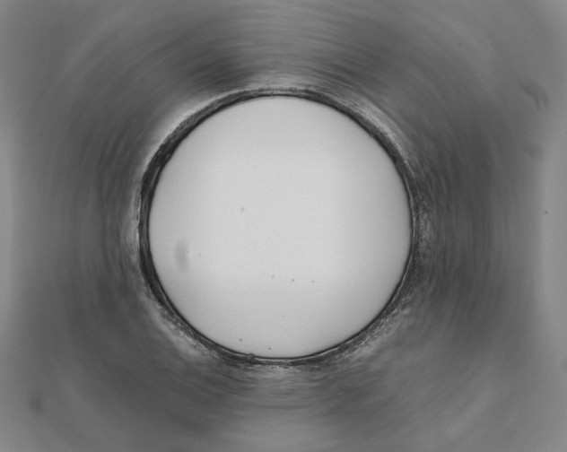 X0000111491124200908111218