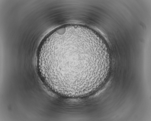 X0000111491125200908111218