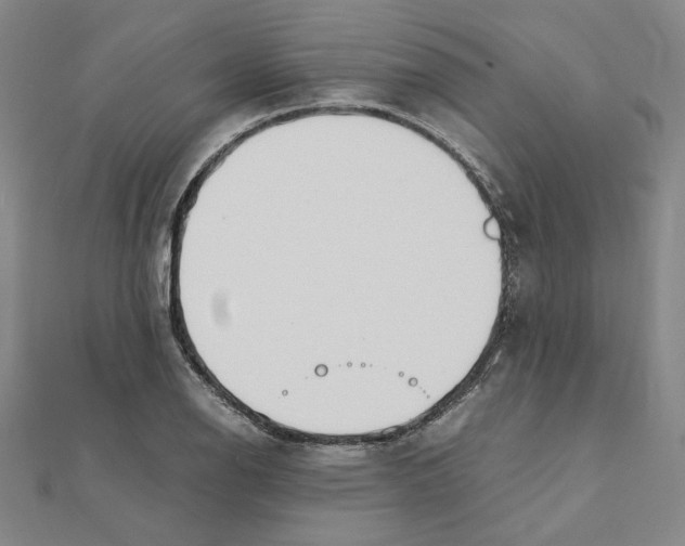 X0000111491126200908111218