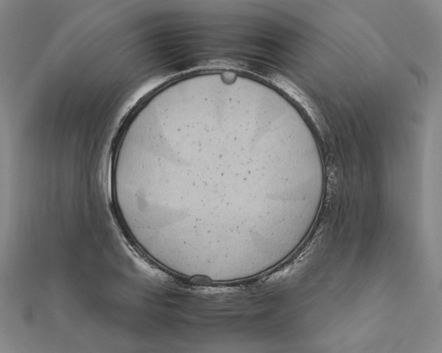 X0000111491127200908111218