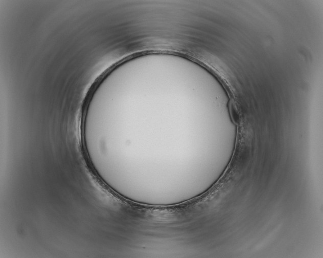 X0000111491128200908111218
