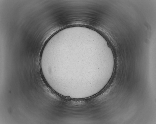 X0000111491129200908111218