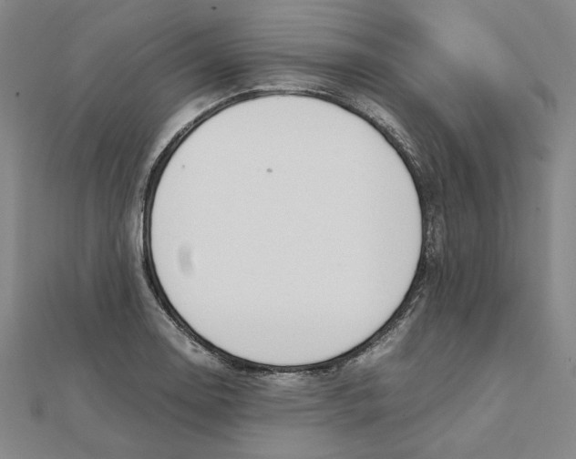 X0000111491130200908111218