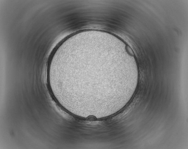 X0000111491131200908111218