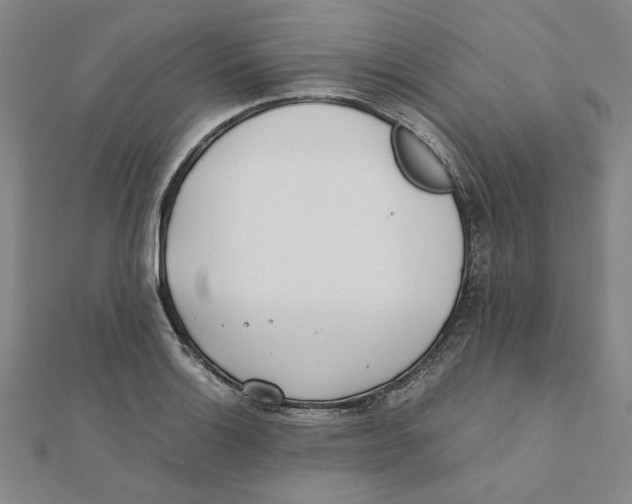 X0000111491132200908111218