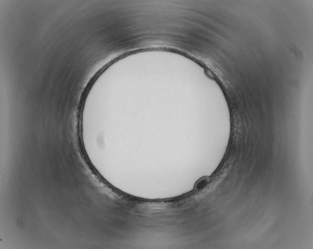 X0000111491134200908111218