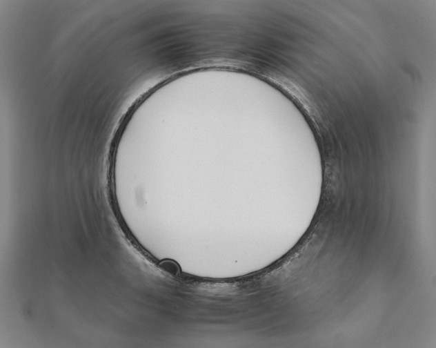 X0000111491135200908111218