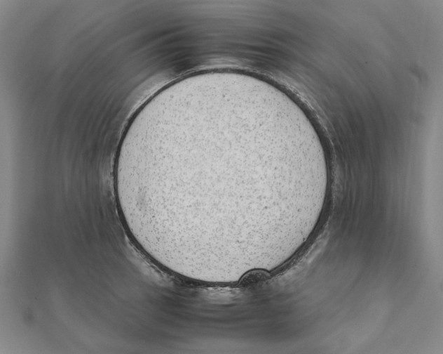 X0000111491137200908111218