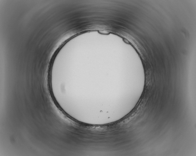 X0000111491139200908111218
