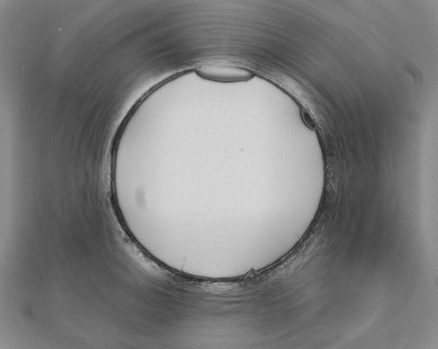 X0000111491140200908111218