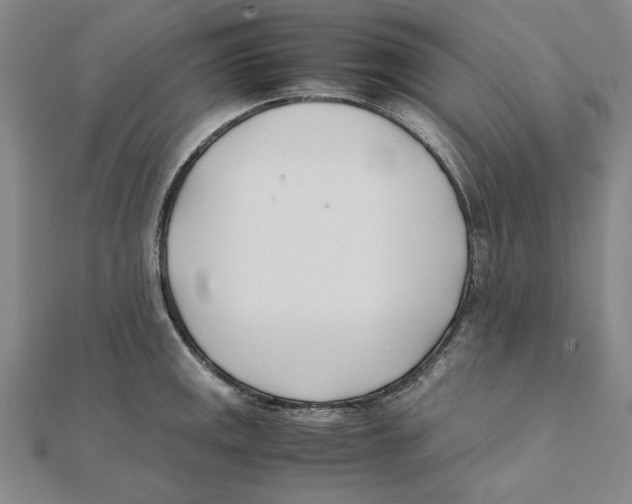 X0000111491141200908111218