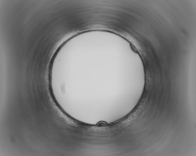 X0000111491142200908111218