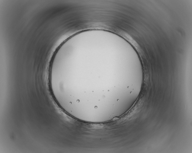 X0000111491144200908111218