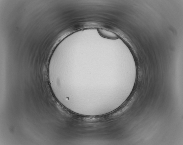 X0000111491145200908111218