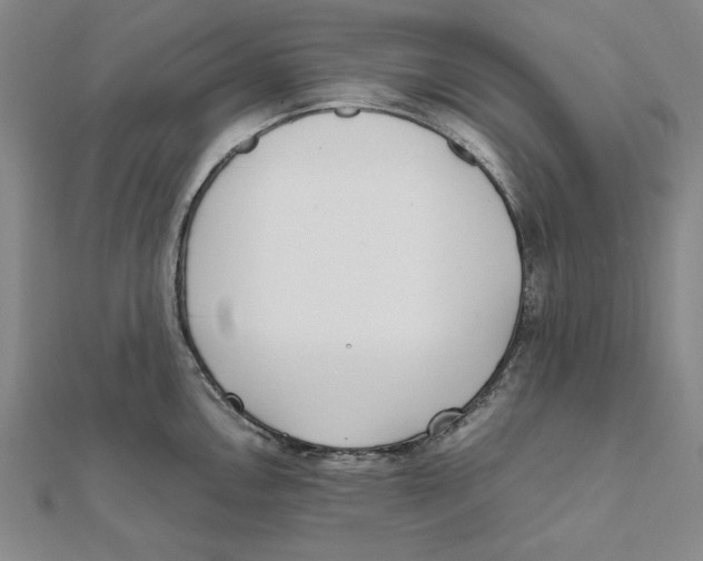 X0000111491146200908111218