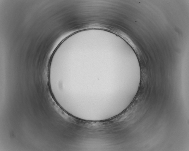 X0000111491148200908111218