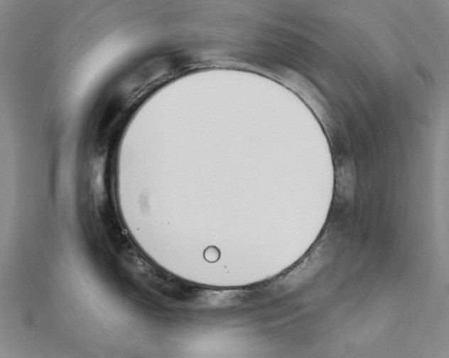 X0000111491150200908111218