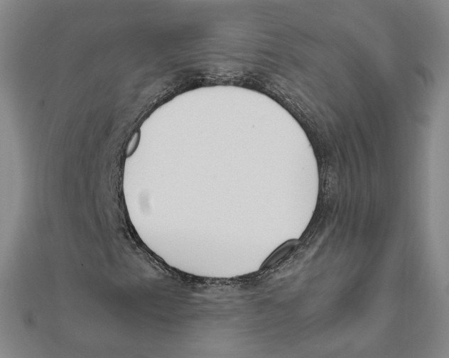 X0000111491153200908111217