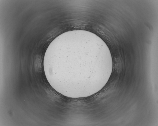 X0000111491154200908111217