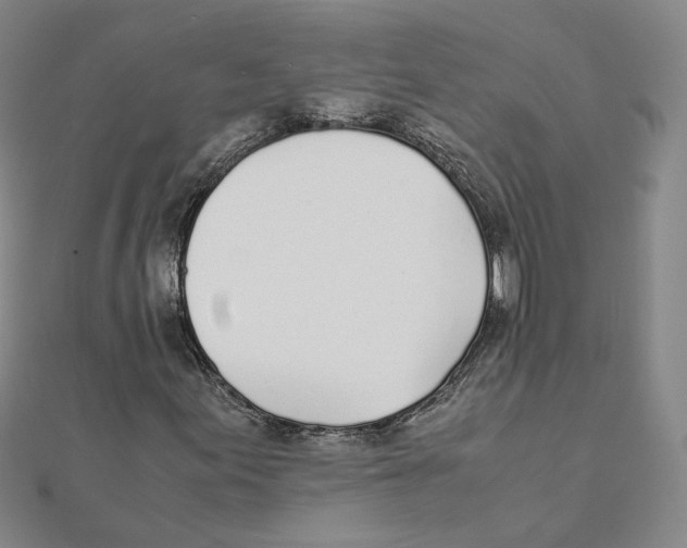 X0000111491155200908111217