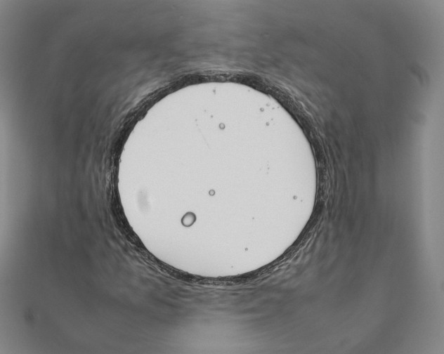 X0000111491157200908111217