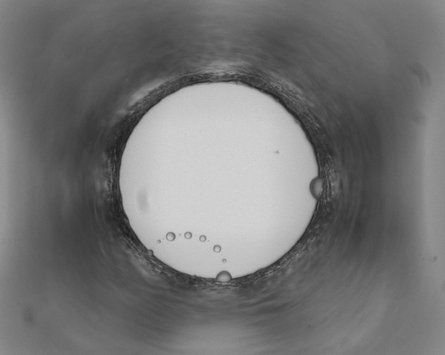 X0000111491158200908111217