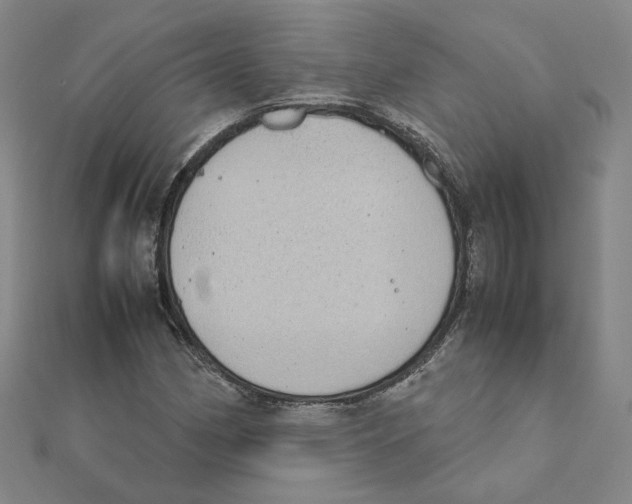 X0000111491162200908111217