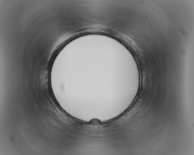 X0000111491164200908111217