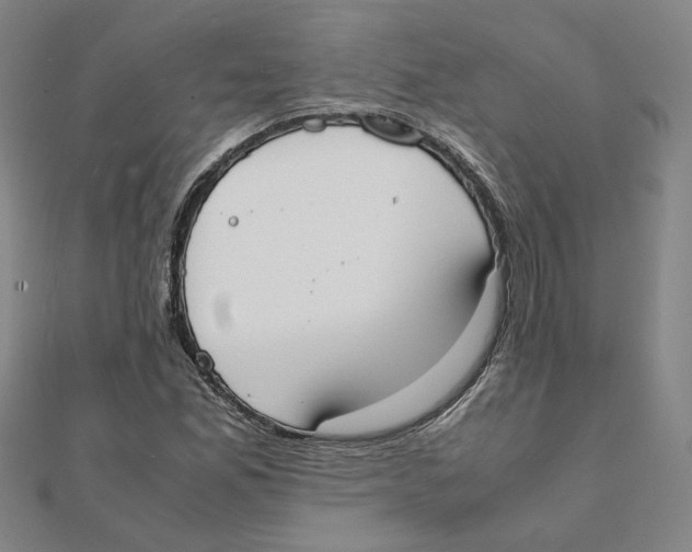 X0000111491165200908111217